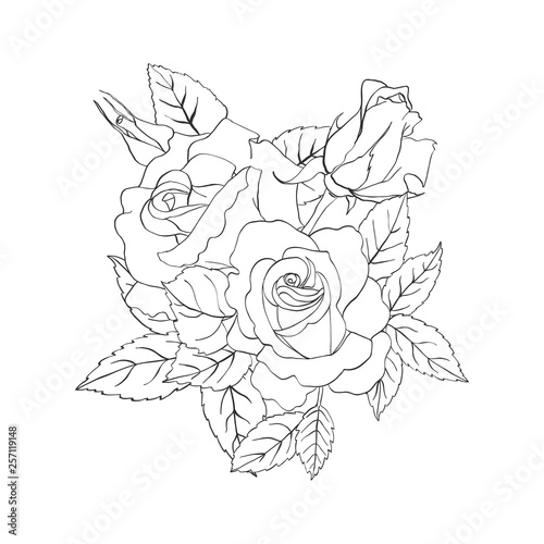 hand drawn sketch of a bouquet of roses template flowers template of flowers
