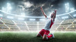 © Ruslan Shevchenko - Soccer wins. Professional soccer player celebrates winning the open stadium. Sport. 3D stadium