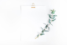 Top View Of White Notepaper With Eucalyptus Plant On Worktable.minimalist Style