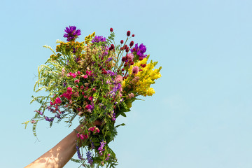 Female hand holds bright colorful bouquet of wild flowers against blue sky. Womens day, Mothers Day, Hello summer or Hello spring Copy space