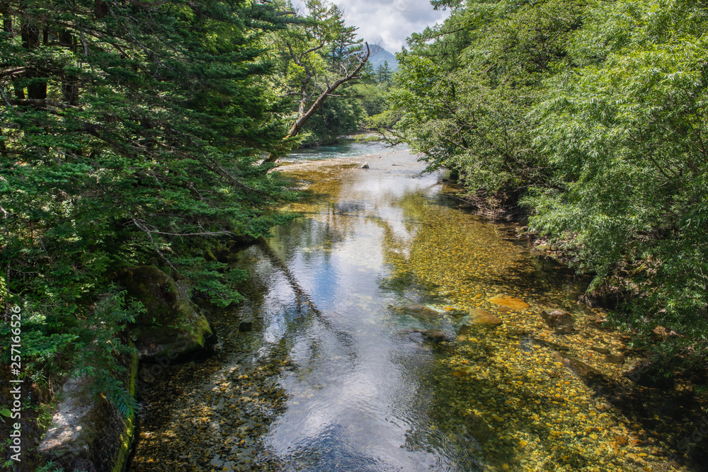 River and Summer Forest Landscape,Pathway at Kamikochi in Japan Stock ...