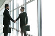 © F8  \ Suport Ukraine - Two Indian business men shaking hands standing in office in front of windows