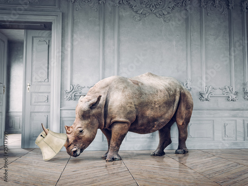 Fotomural wild rhino in the luxury room