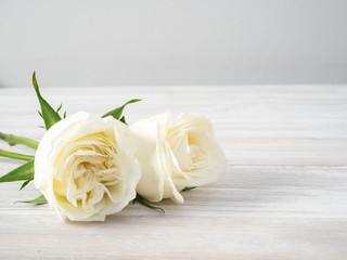 Canvas Print - White roses on a white wooden table