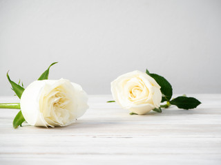 Canvas Print - White roses on a white wooden table