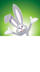 Wall Mural - Cute gray Easter Bunny with white blank signboard isolated on a green background,vector illustration for holiday greeting