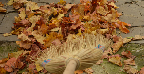 Raking leaves autumn fall garden housework