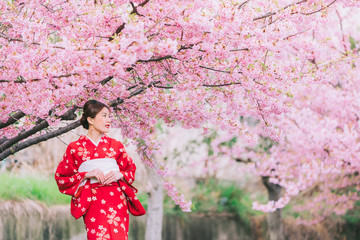 Wall Mural - Asian woman wearing kimono with cherry blossoms,sakura in Japan.