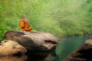 Wall Mural - Buddha monk practice meditation in forest