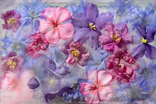 Background Of Violet,  Balsamine, Geranium, Chicory (succory) Flower   Frozen In Ice