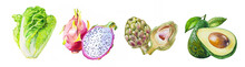 Watercolor Hand Draw Illustration With Avocado, Chinese Cabbage, Artichoke And Dragon Fruit, Inspired By Exotic Fruits, With White Isolated Background