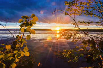 Wall Mural - Sunset, sunrise over the river through the foliage with rays and highlights against the cloudy sky.