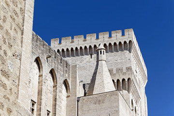 Wall Mural - Palais des Papes