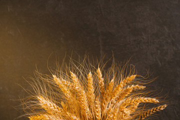 Wall Mural - Cereals ears on the black textured background