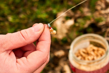 Close up Men's hands hold a small box with maggots and put bait on the hook, Fisherman with worm , many maggots closeup