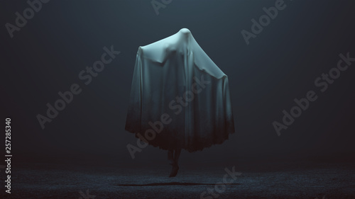 Fotomural Floating Evil Spirit with Arms Out in a Death Shroud in a Foggy Void Back View 3