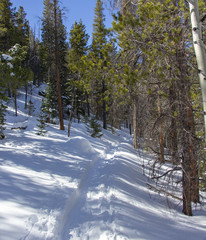 Poster - Rocky Mountain National Park 03/2019