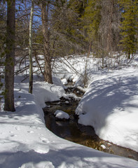 Sticker - Rocky Mountain National Park 03/2019