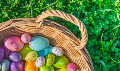 Wall Mural - Top view of a basket filled with colorful painted Easter eggs decoration on fresh grass or clover field illuminated with sunlight. Happy Easter Holiday background 