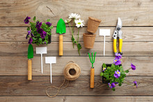 Gardening Tools, Shovel, Secateurs, Rake, Nameplate, Flowers, Plants, Rope, On Vintage Wooden Table. Spring In The Garden Concept, Top View, Flat Lay Composition