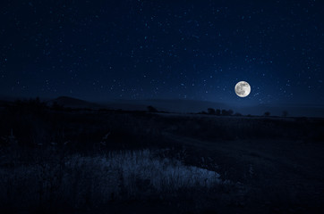 mountain road through the forest on a full moon night. scenic night landscape of country road at nig