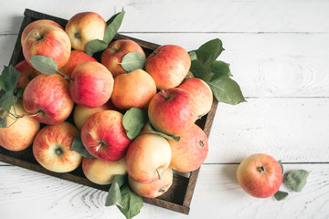 Wall Mural - Red apples in wooden box