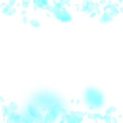 Naklejka na meble Turquoise flower petals falling down. Captivating 