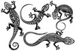 Set of lizard, salamader, gecko sillhouette 