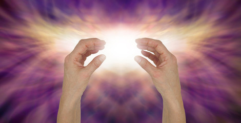 Wall Mural - Sending transcendental healing energy - female hands opposite each other with a bright white light beam between against a shimmering golden light and pink purple energy background 