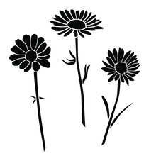 Set Of Silhouettes Of Flowers Daisies, Carnations,  Vector, Black Color, Isolated On White Background