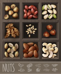 Wall Mural - Realistic Organic Nuts Advertising Template