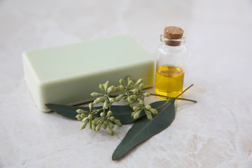 Poster - Eucalyptus Oil, Soap, and Leaves