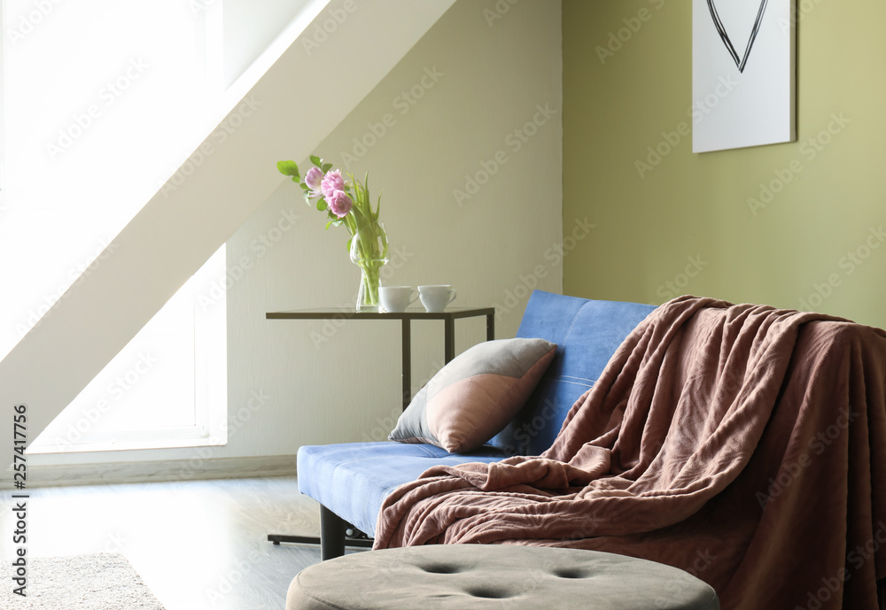 Soft couch in interior of living room