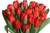 Fototapeta Tulipany - Bouquet of red tulips isolated on white background.