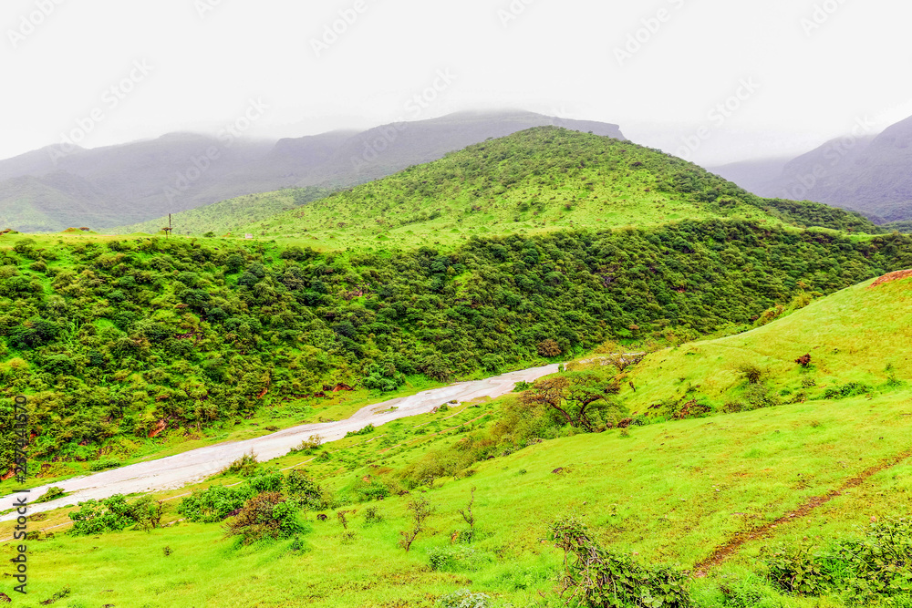 Lush Green Landscape Trees And Foggy Mountains In Ayn Khor Tourist lush-green-landscape-trees-and-foggy-mountains-in-ayn-khor-tourist