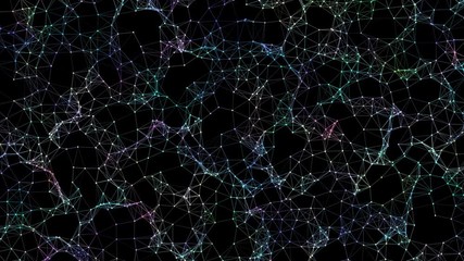Poster - Rotation of connectivity web.