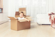© kuzmichstudio - Happy and beautiful baby smiling at home in the living room sitting in a cardboard box