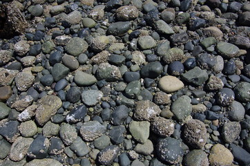 pebbles on the beach