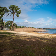 Wall Mural - lac et pns