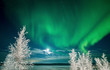 © Cavan Images - Aurora borealis over Tibbitt Lake, Yellowknife, Northwest Territories, Canada