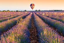 Balloon Over Lavender Plantation, Brihuega, Spain