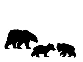 bear family two bear cubs black silhouette animals. vector illustrator.