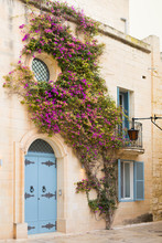 Malta, Mdina, Facade With Tendrils
