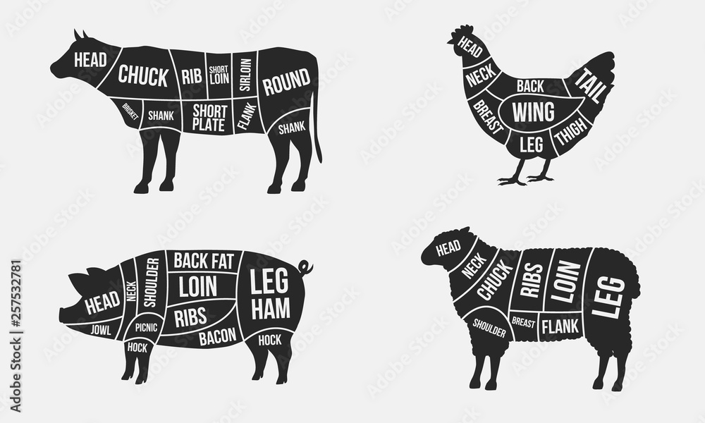 Set of Meat diagrams. Cuts of meat. Cow, Chicken, Pig and Sheep silhouette isolated on white background. Vintage Posters for butcher shop. Vector illustration - obrazy, fototapety, plakaty 