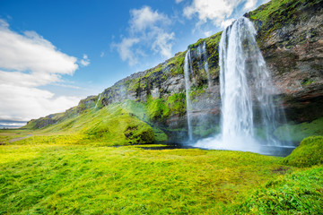 Wall Mural - View of Seljalandsfoss one of most stunning waterfalls in Iceland