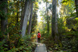 © Cavan Images - Hiker crossing forest boardwalk, Maribel, Wisconsin, USA