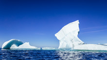 Lone Penguin Standing On Iceberg
