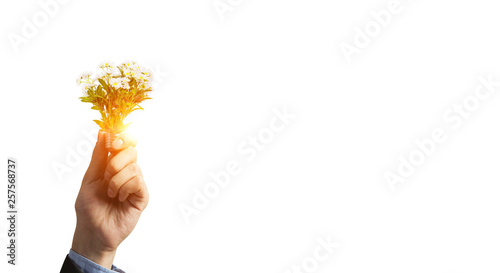 Obraz na plátně Light bulb in businessman hand. Mixed media