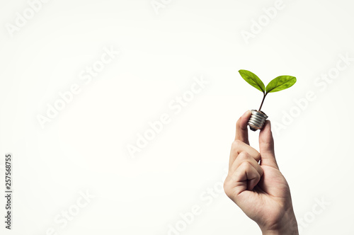 Fototapeta Eco green energy. Mixed media