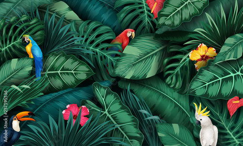 Tropical plants and birds collection set
